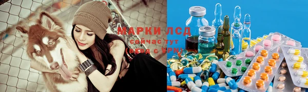 ECSTASY Ростов